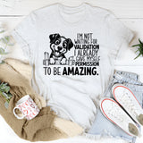 I’m Not Waiting for Validation, I Already Gave Myself Permission to Be Amazing T-Shirt