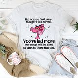 It’s Not My Fault You Thought I Was Normal You’ve Had More Than Enough Time and Plenty of Clues to Figure That Out T-Shirt