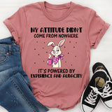 My Attitude Didn’t Come From Nowhere It’s Powered by Experience and Audacity T-Shirt