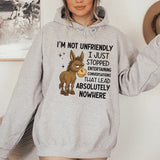 I’m Not Unfriendly, I Just Stopped Entertaining Conversations That Lead Absolutely Nowhere Hoodie
